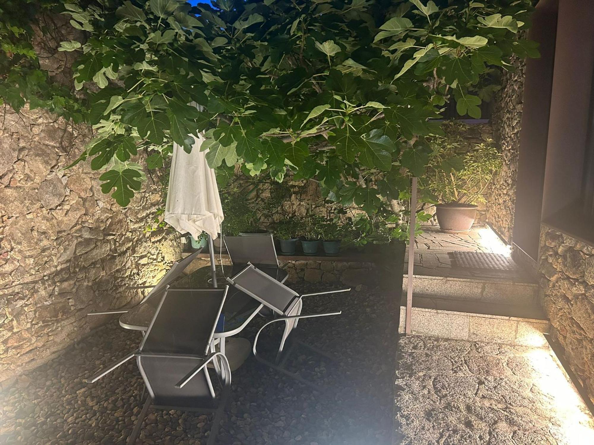 Apartamentos Rurales San Pedro San Pedro  Εξωτερικό φωτογραφία